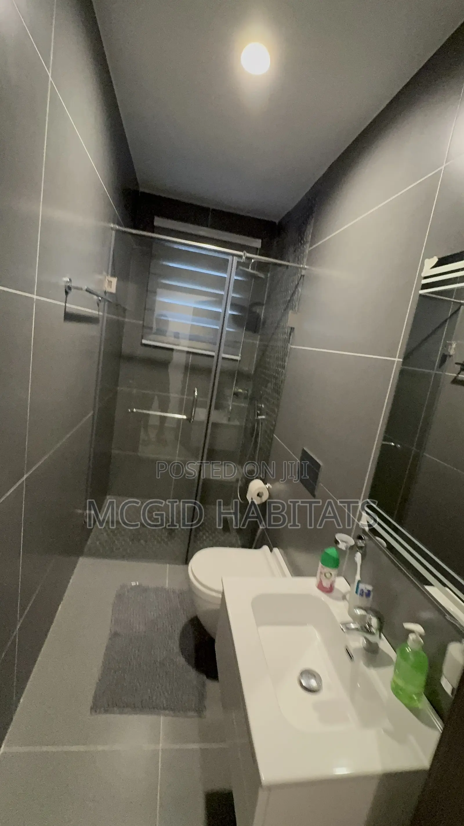 Furnished 2bdrm Apartment in Tseaddo for rent