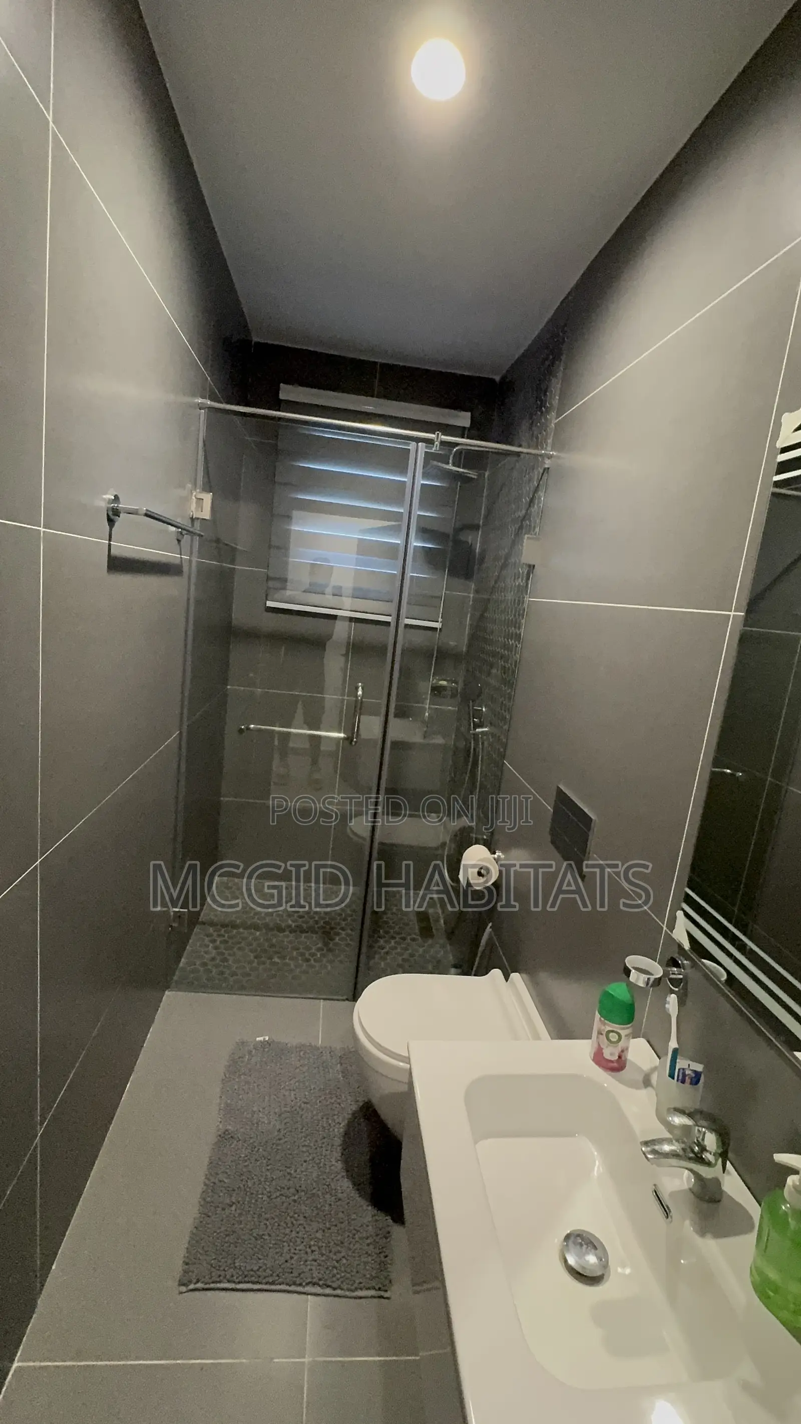 Furnished 2bdrm Apartment in Tseaddo for rent