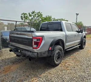 Ford F-150 Raptor 2023 Silver