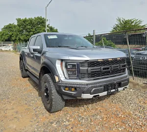 Ford F-150 Raptor 2023 Silver