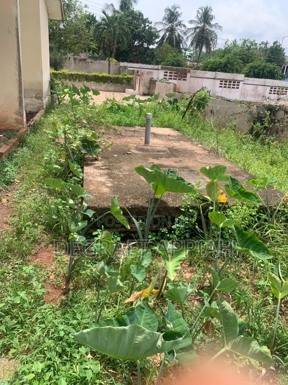Roadside 2 Half Plot for Sale at Paraku