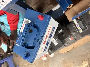 Original Bosch 13 Plate Battery