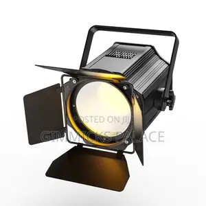 200watts Cob With Ban Doors