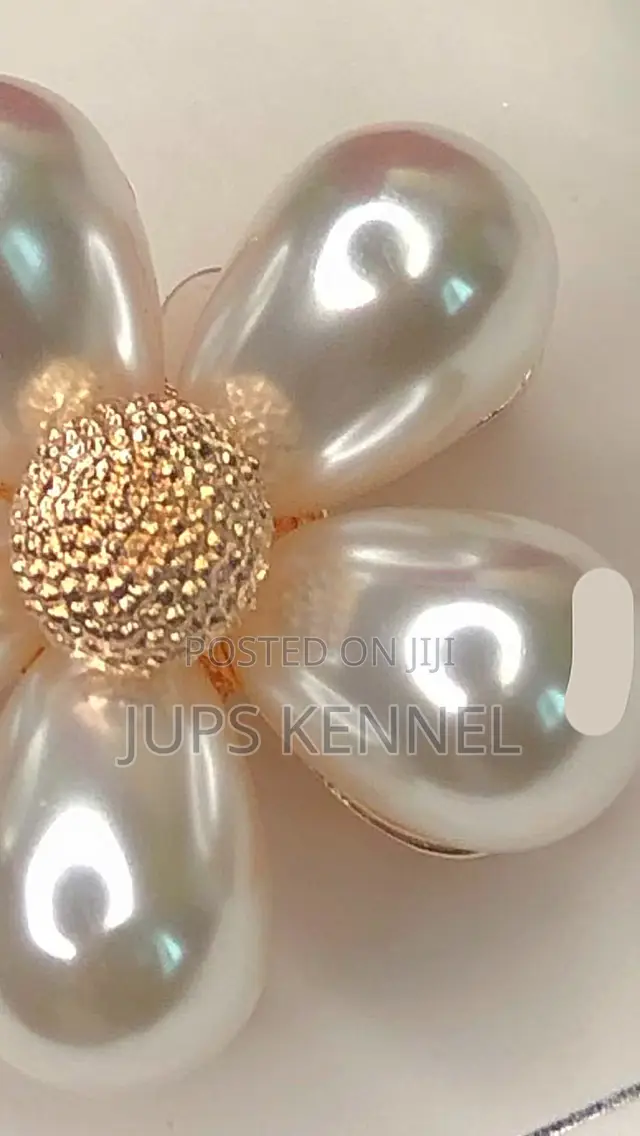 Brooches (Pearls)