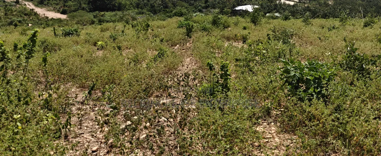 Land For Sale At Dodowa Hills