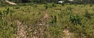 Land For Sale At Dodowa Hills