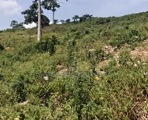 Land For Sale At Dodowa Hills