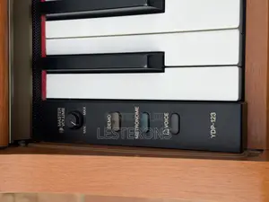 Yamaha Arius Ydp-123