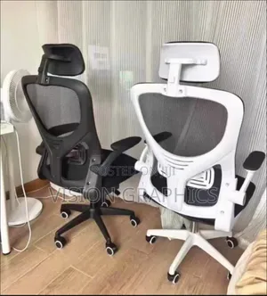 Executiive Office and Home Gaming Chair With Headrest Black/White