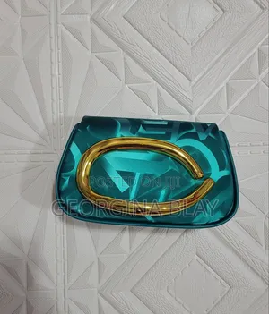 Zara Clutch / Zara Purse