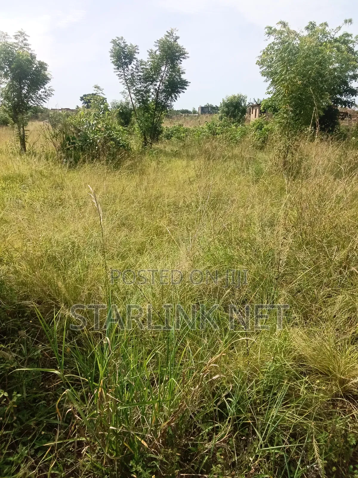 Land Plot for Sale