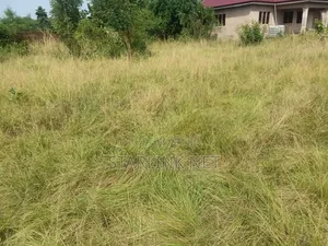 Land Plot for Sale