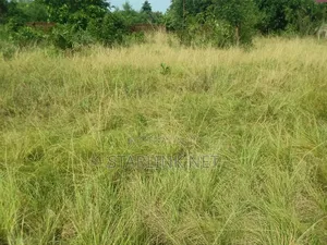 Land Plot for Sale