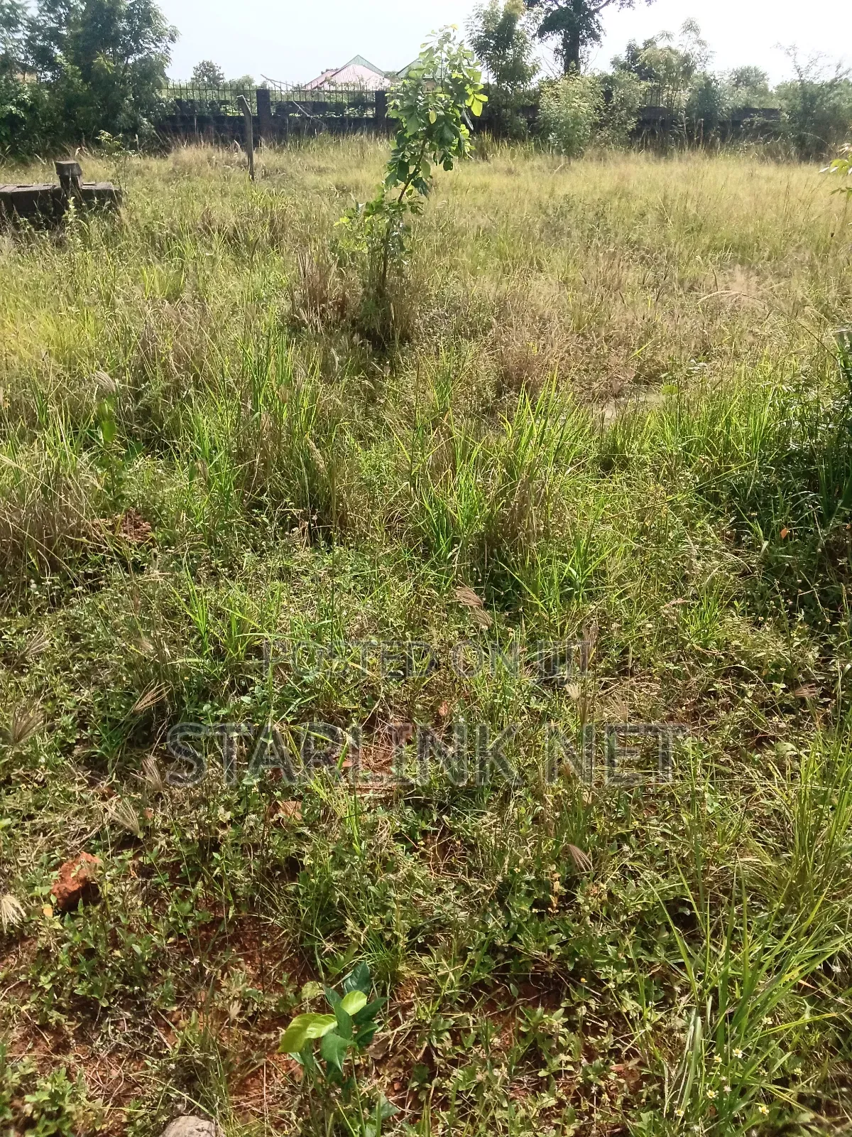 Land Plot for Sale
