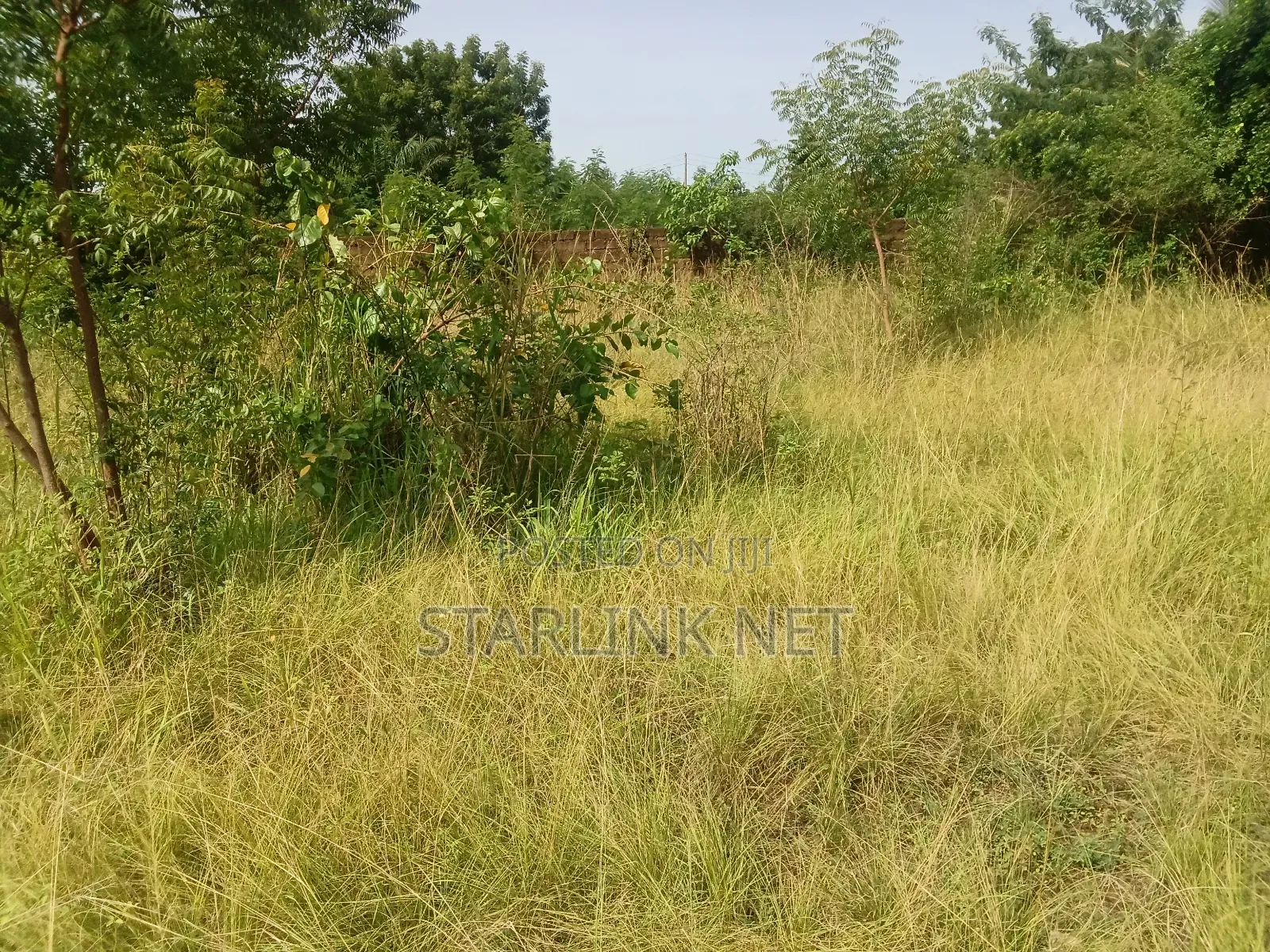 Land Plot for Sale