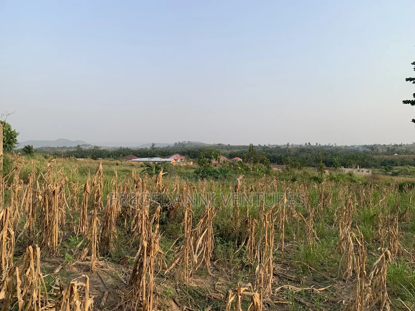 2 Plots Of Land For Sale At Teacher Mante New Town. Estate Documents