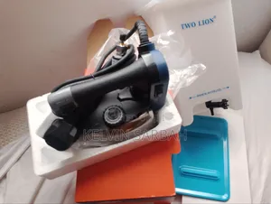Two Lion Electric Steam Iron