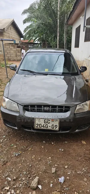 Hyundai Accent WRC 2001 Gray