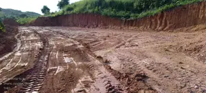 2 Plots of Land for Sale at Konfueku New Site Negotiable