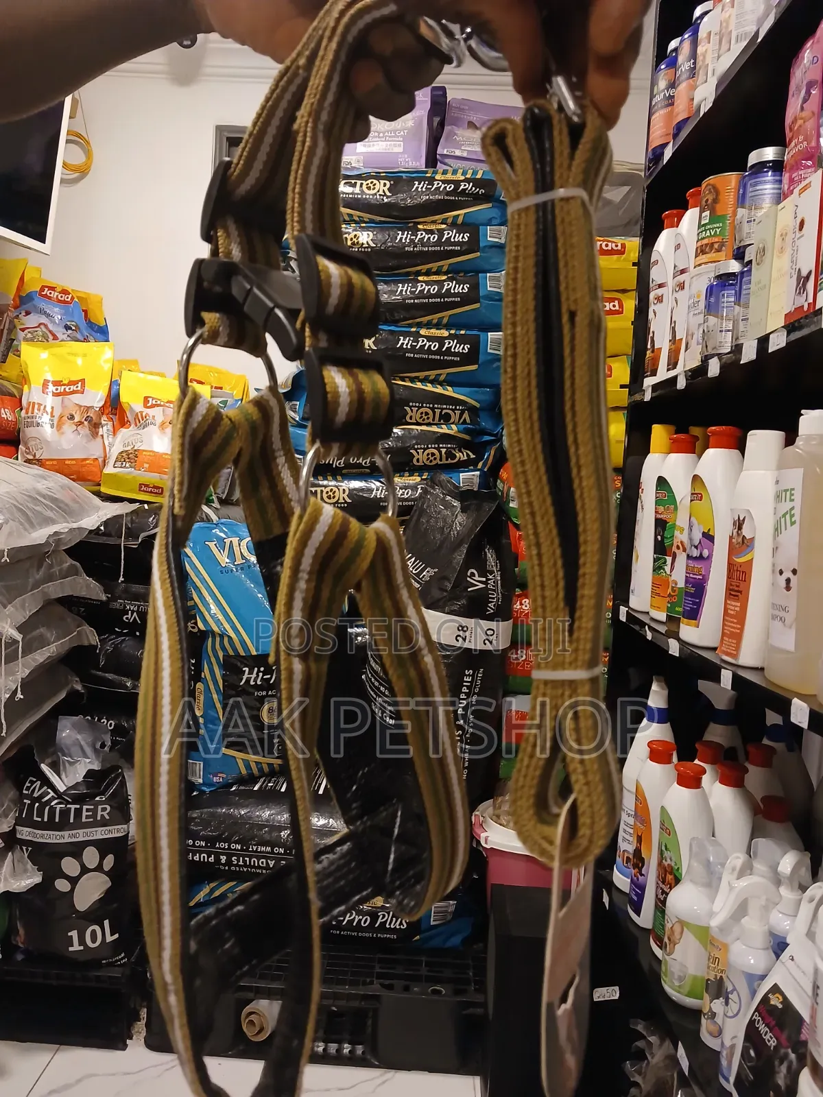 Harness and Leash
