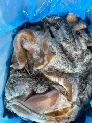 Frozen Beef Tripe (Icc) Bulk Supply