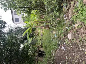 Prime 80×80 Residential Plot for Sale at Danyame – Behind Hans Court |