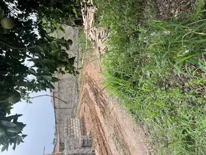Prime 80×80 Residential Plot for Sale at Danyame – Behind Hans Court |