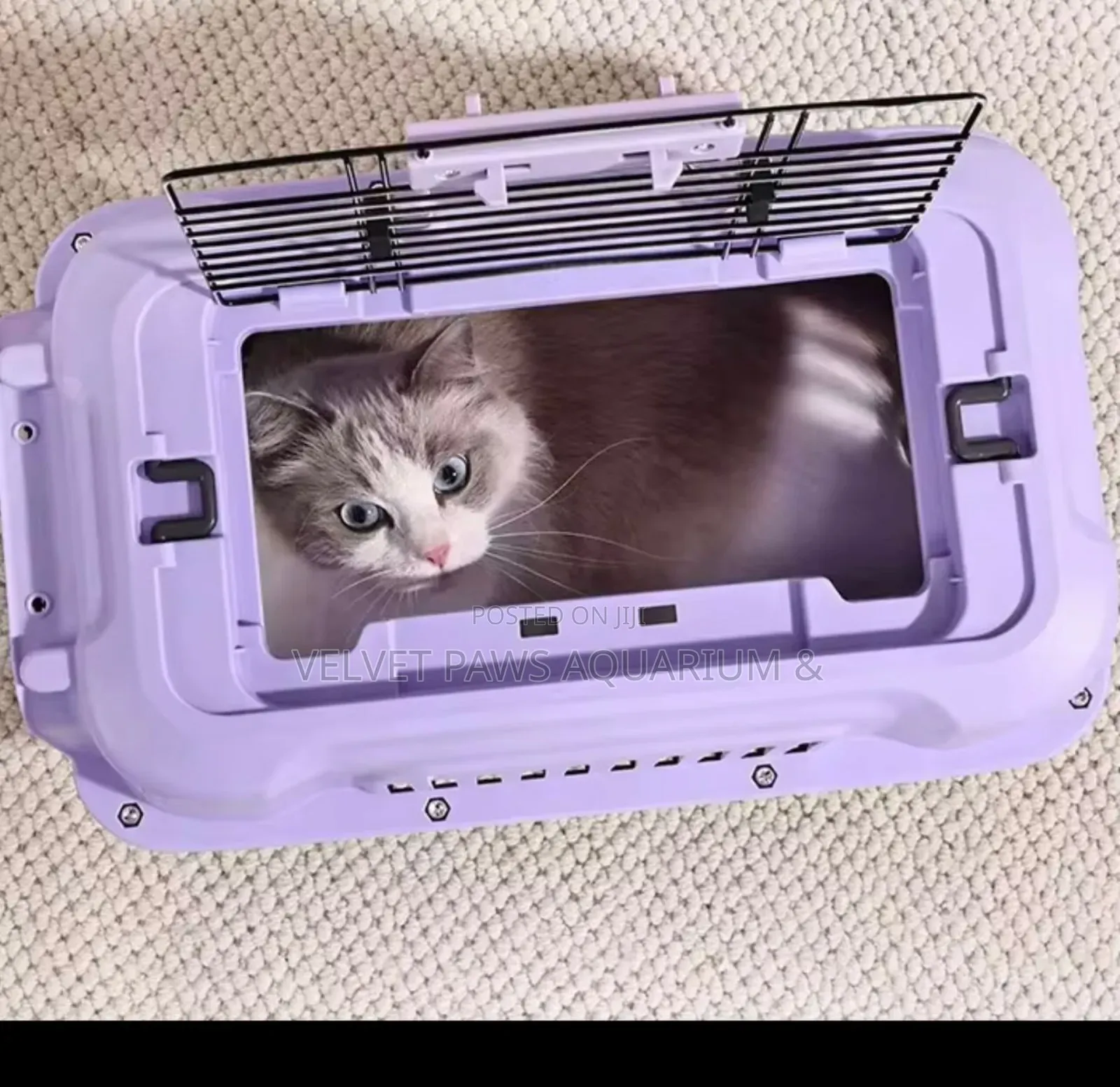 Approved Plastic Cat Cages