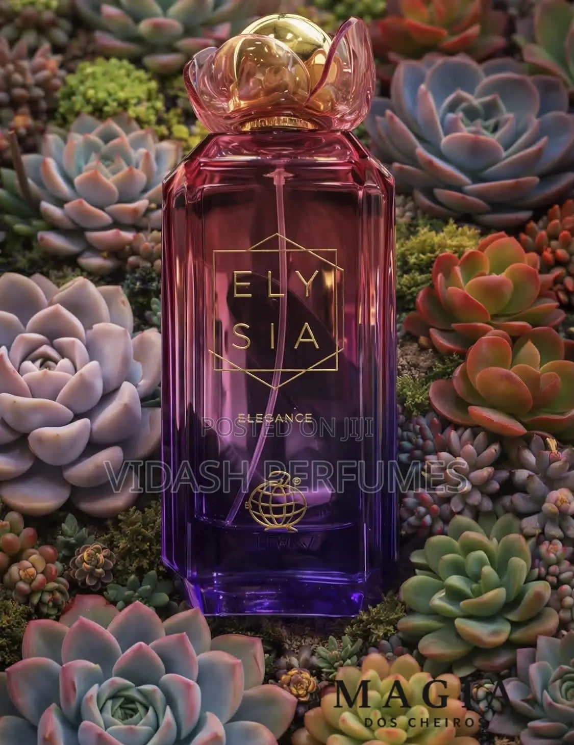 Ladies Perfumes