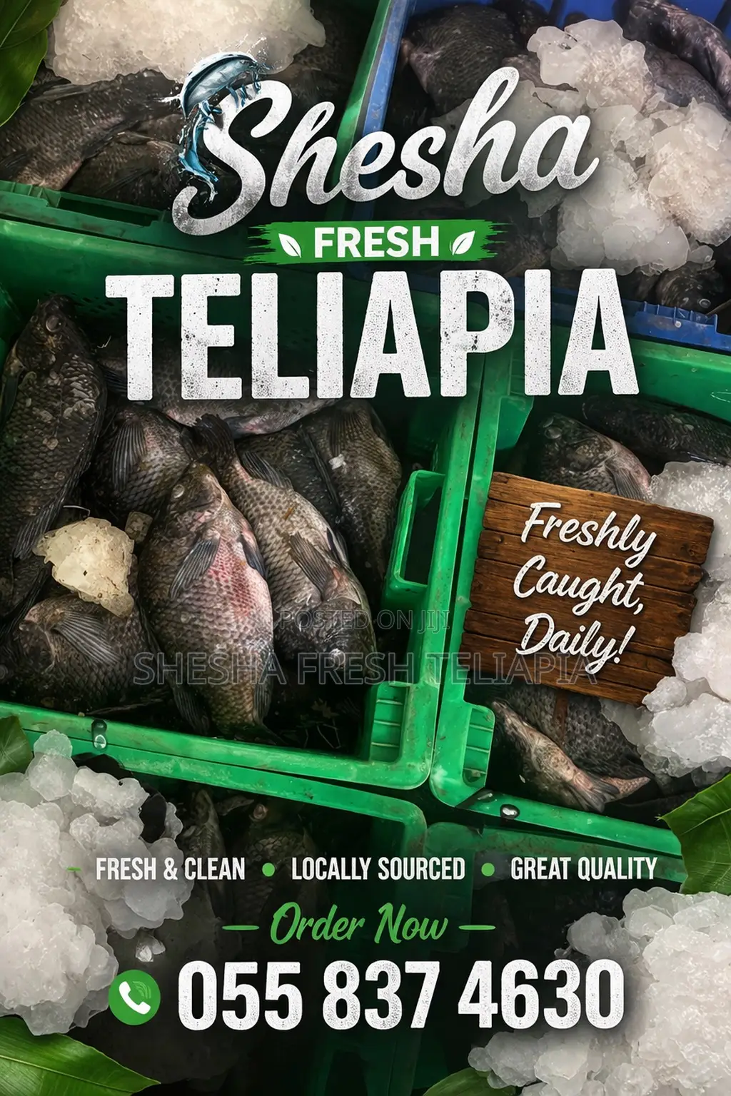 Shesha Fresh Teliapia