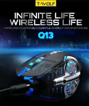 Q 13 Game Mouse