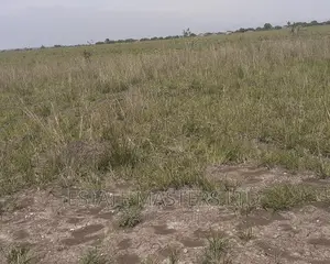 Cheap Price Land
