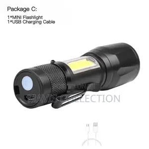 Security Torch Light