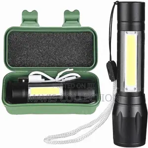 Security Torch Light