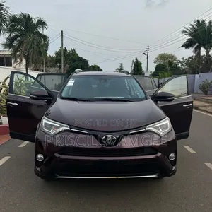 Toyota RAV4 Limited 4dr SUV AWD (2.5L 4cyl 6A) 2018 Brown