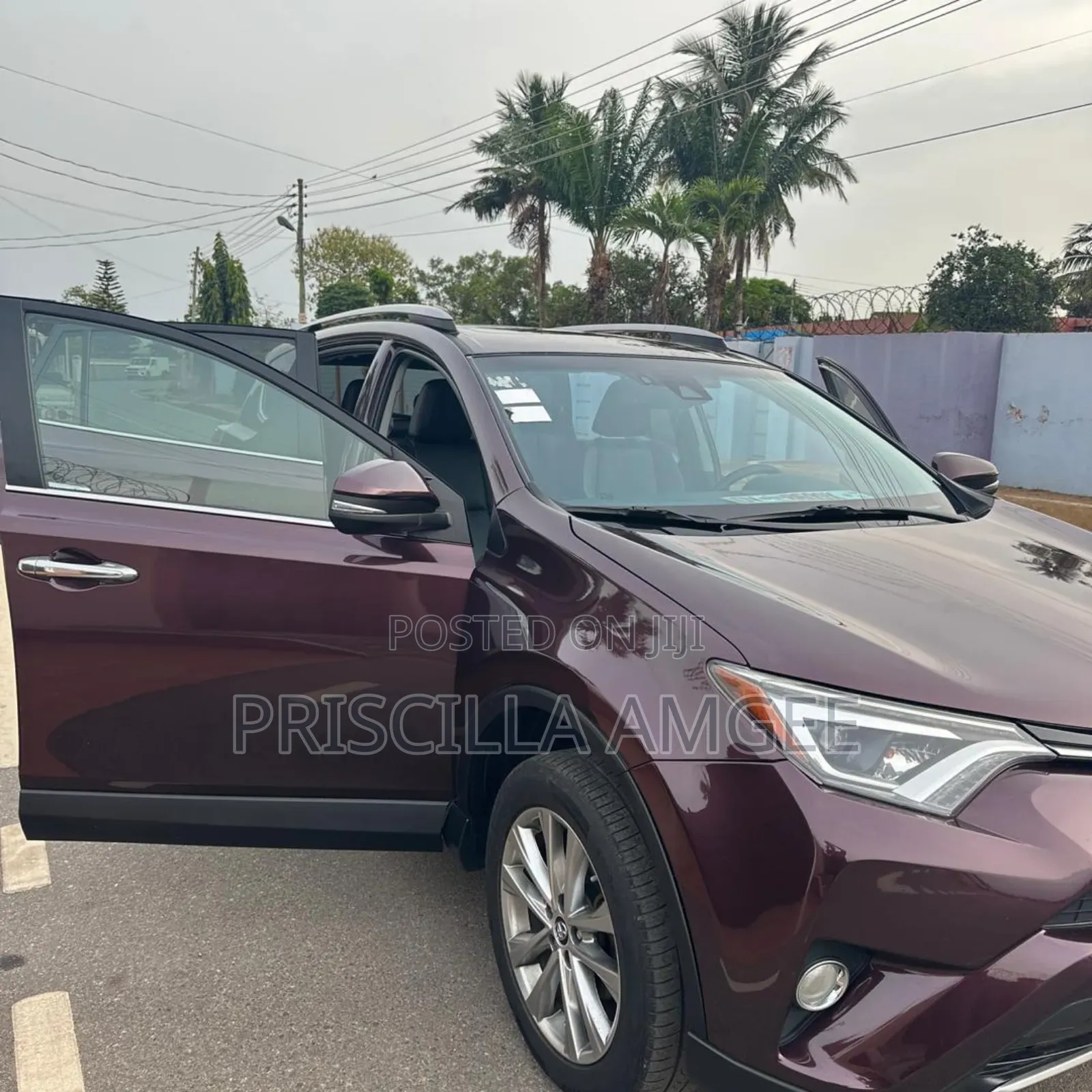 Toyota RAV4 Limited 4dr SUV AWD (2.5L 4cyl 6A) 2018 Brown