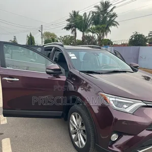 Toyota RAV4 Limited 4dr SUV AWD (2.5L 4cyl 6A) 2018 Brown
