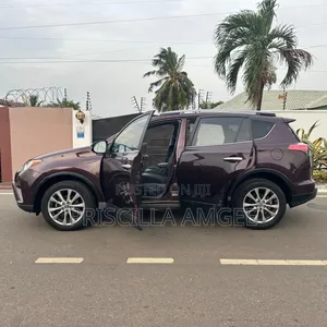 Toyota RAV4 Limited 4dr SUV AWD (2.5L 4cyl 6A) 2018 Brown