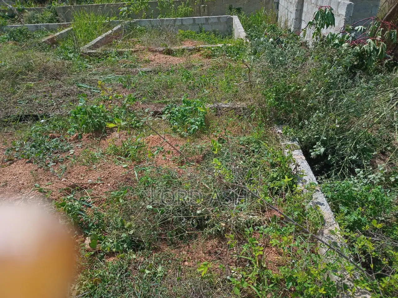 1 Plot of Land for Sale at Kasoa, Gomoa Fetteh With 4 BRM Footings