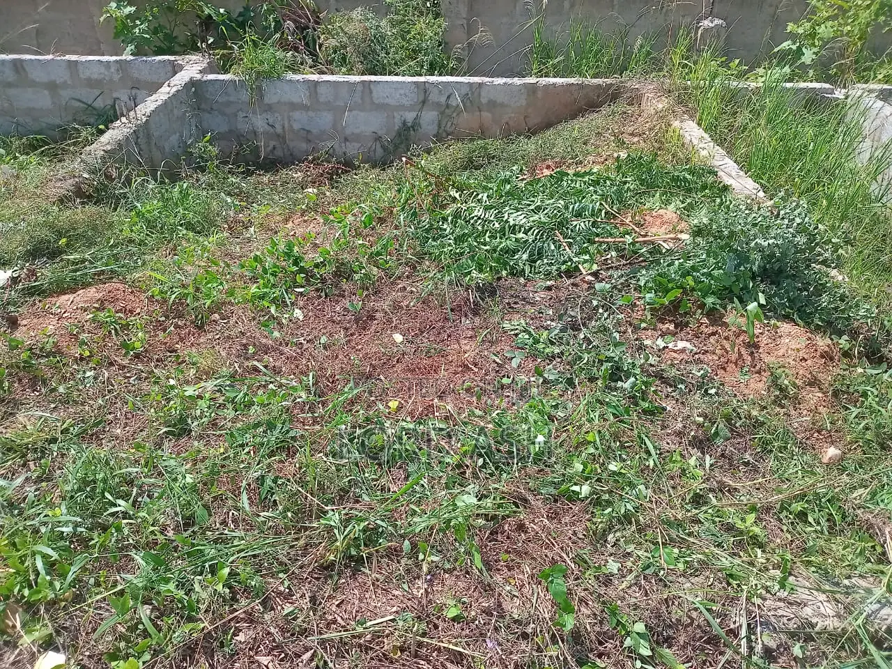 1 Plot of Land for Sale at Kasoa, Gomoa Fetteh With 4 BRM Footings