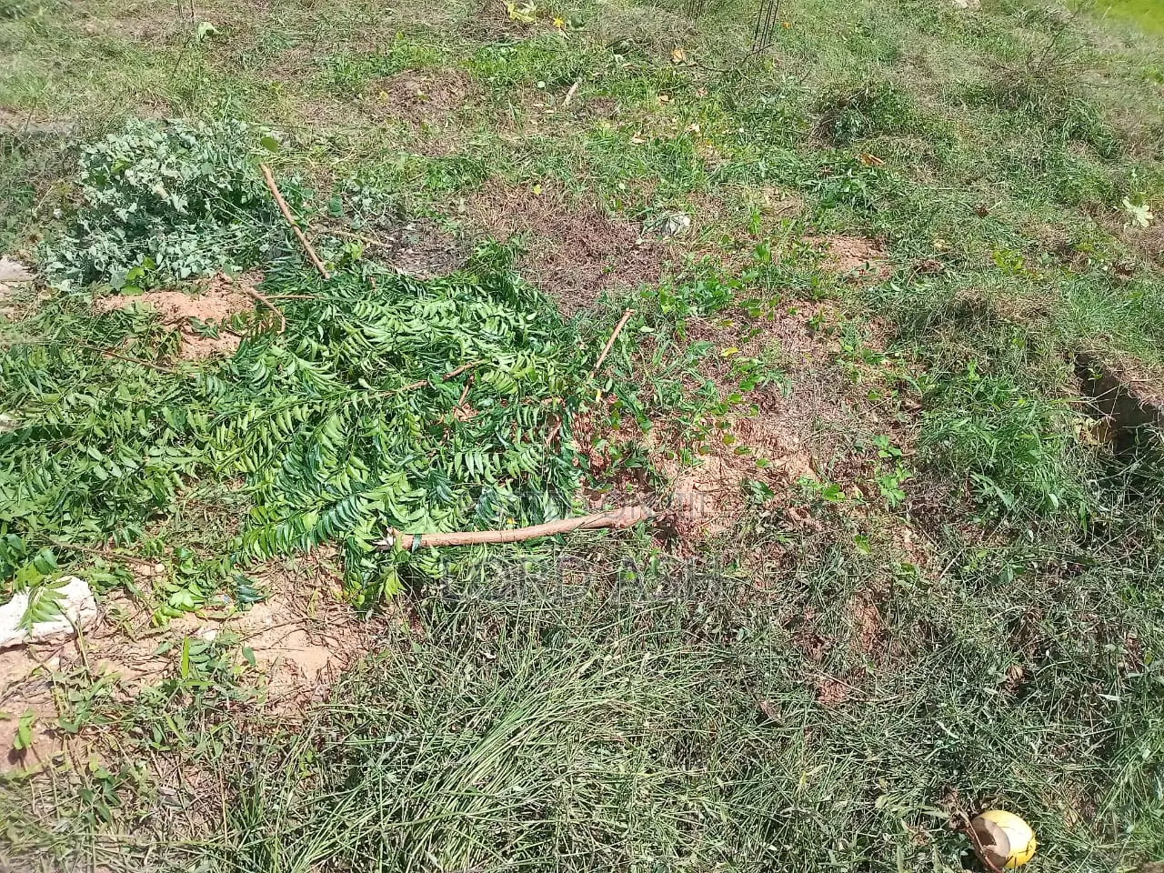 1 Plot of Land for Sale at Kasoa, Gomoa Fetteh With 4 BRM Footings