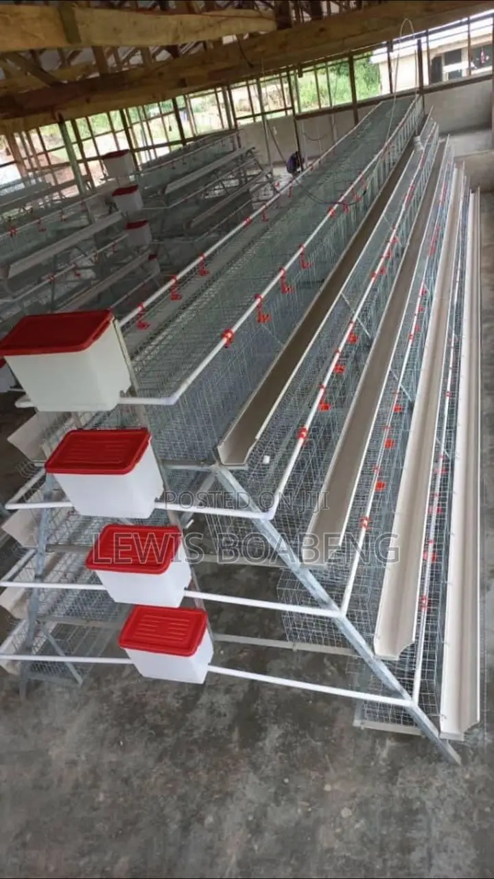 Battery Cages