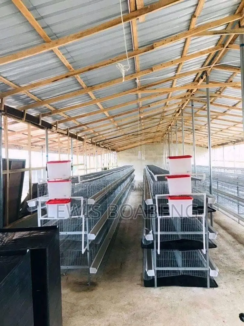 Battery Cages