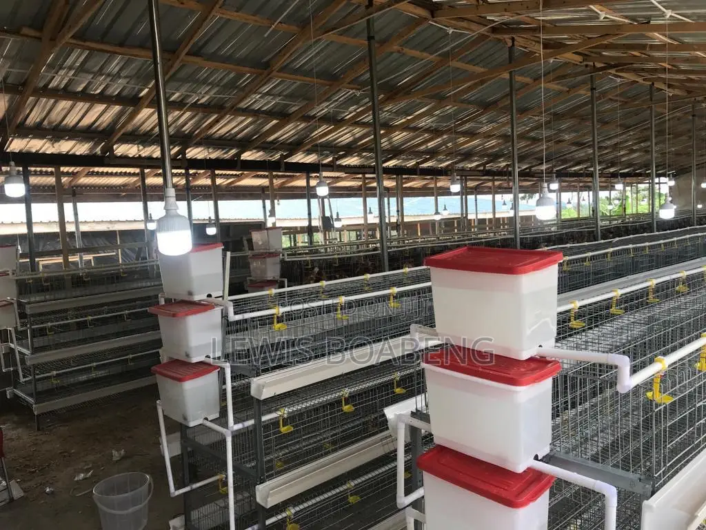 Battery Cages