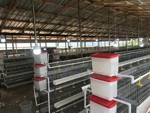 Battery Cages