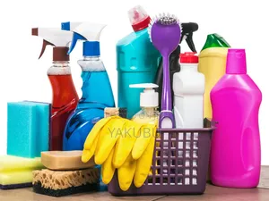 Cleaning Services