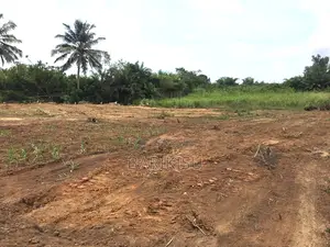 Litigation Free Plots of Land for Sale