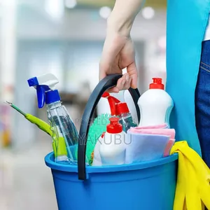 Cleaning Services