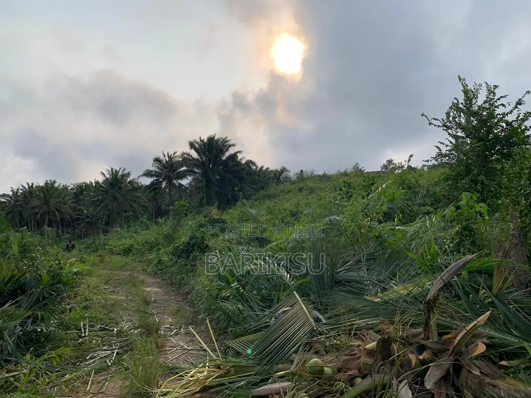 Litigation Free Plots of Land for Sale