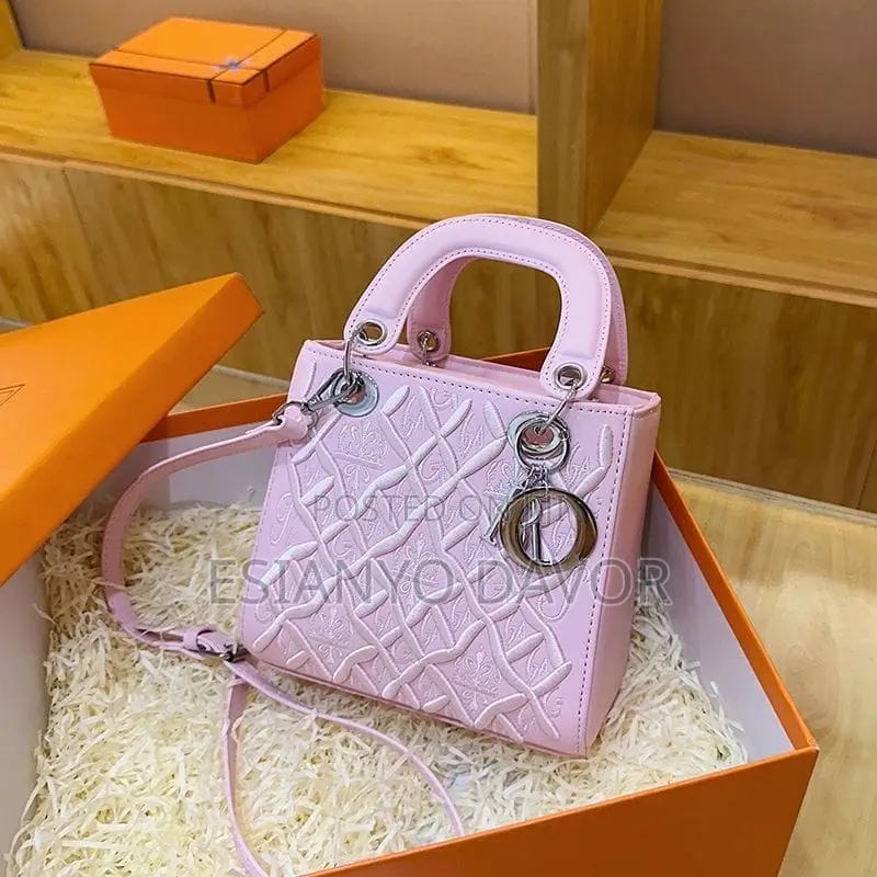 Ladies Fashionable Bag 